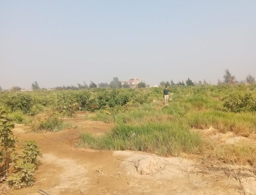 Alghanim accomodation
