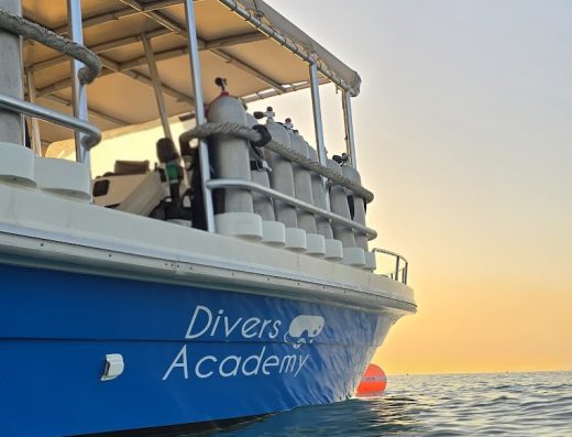 Divers Academy