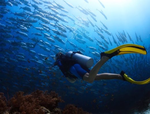 Kuwait Diving & Lifesaving Club النادي الكويتي للغوص والانقاذ