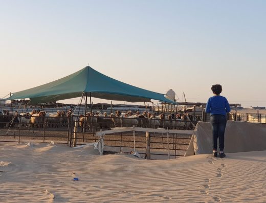 Subiya desert camping area