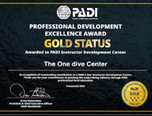 The One Dive Center