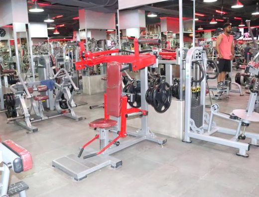 Titanium Shark Gym